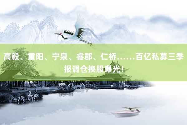 高毅、重阳、宁泉、睿郡、仁桥……百亿私募三季报调仓换股曝光！