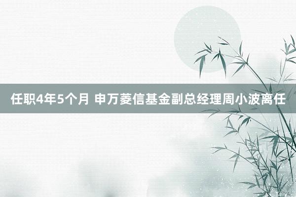 任职4年5个月 申万菱信基金副总经理周小波离任