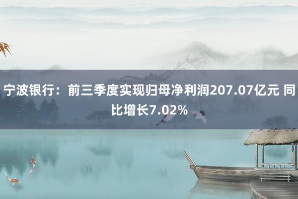 宁波银行：前三季度实现归母净利润207.07亿元 同比增长7.02%