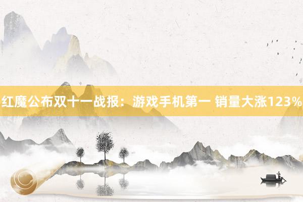 红魔公布双十一战报：游戏手机第一 销量大涨123%