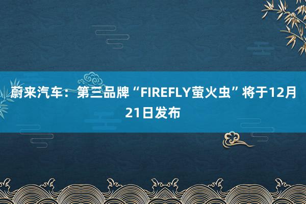 蔚来汽车：第三品牌“FIREFLY萤火虫”将于12月21日发布