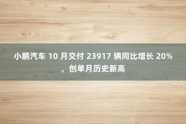 小鹏汽车 10 月交付 23917 辆同比增长 20%，创单月历史新高