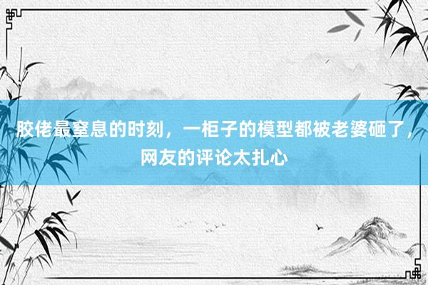 胶佬最窒息的时刻，一柜子的模型都被老婆砸了，网友的评论太扎心