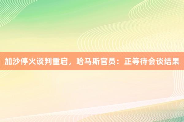 加沙停火谈判重启，哈马斯官员：正等待会谈结果