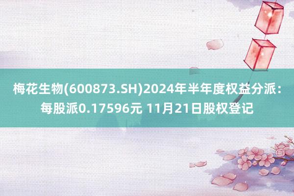 梅花生物(600873.SH)2024年半年度权益分派：每股派0.17596元 11月21日股权登记