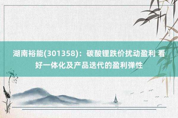 湖南裕能(301358)：碳酸锂跌价扰动盈利 看好一体化及产品迭代的盈利弹性