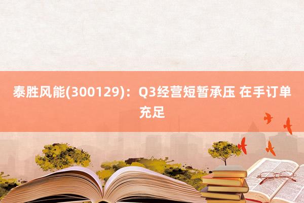 泰胜风能(300129)：Q3经营短暂承压 在手订单充足