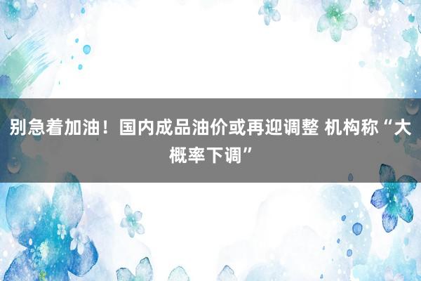 别急着加油！国内成品油价或再迎调整 机构称“大概率下调”