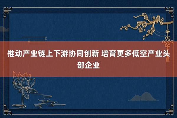 推动产业链上下游协同创新 培育更多低空产业头部企业