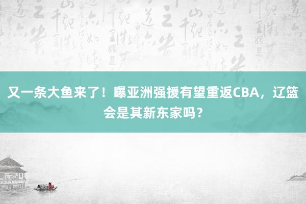 又一条大鱼来了！曝亚洲强援有望重返CBA，辽篮会是其新东家吗？