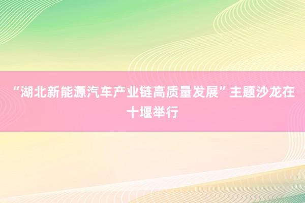 “湖北新能源汽车产业链高质量发展”主题沙龙在十堰举行