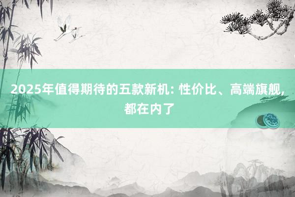 2025年值得期待的五款新机: 性价比、高端旗舰, 都在内了