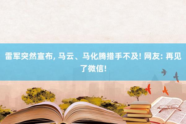 雷军突然宣布, 马云、马化腾措手不及! 网友: 再见了微信!