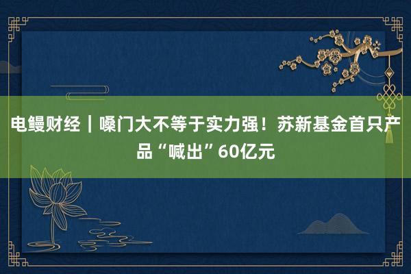 电鳗财经｜嗓门大不等于实力强！苏新基金首只产品“喊出”60亿元