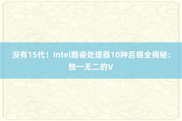 没有15代！Intel酷睿处理器10种后缀全揭秘：独一无二的V