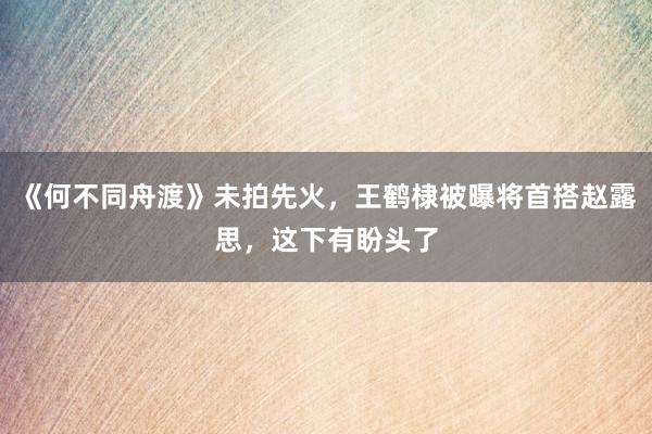 《何不同舟渡》未拍先火，王鹤棣被曝将首搭赵露思，这下有盼头了