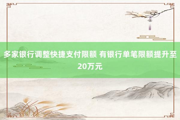 多家银行调整快捷支付限额 有银行单笔限额提升至20万元