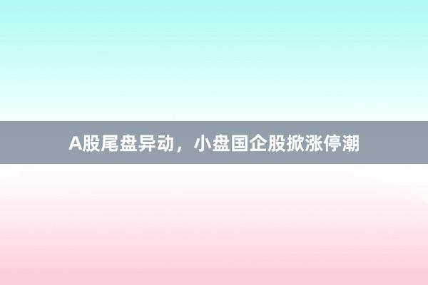 A股尾盘异动，小盘国企股掀涨停潮