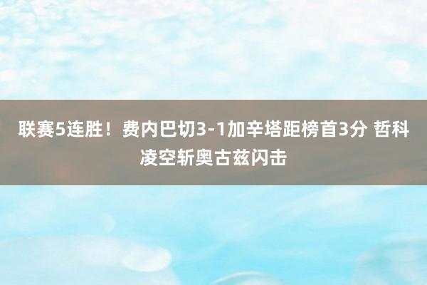 联赛5连胜！费内巴切3-1加辛塔距榜首3分 哲科凌空斩奥古兹闪击