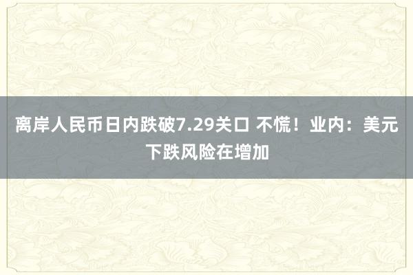 离岸人民币日内跌破7.29关口 不慌！业内：美元下跌风险在增加