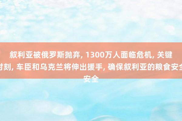 叙利亚被俄罗斯抛弃, 1300万人面临危机, 关键时刻, 车臣和乌克兰将伸出援手, 确保叙利亚的粮食安全