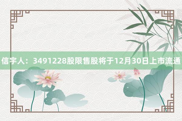 信宇人：3491228股限售股将于12月30日上市流通