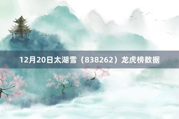 12月20日太湖雪（838262）龙虎榜数据